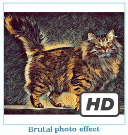 Deepdream dreamscope photo effect brutal